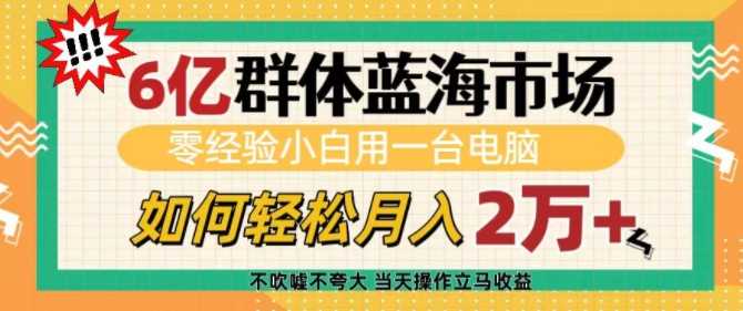 6亿群体蓝海市场，零经验小白用一台电脑，如何轻松月入过w【揭秘】好项目网-专注分享网络创业项目落地实操课程 – 全网首发_高质量创业项目输出好项目网