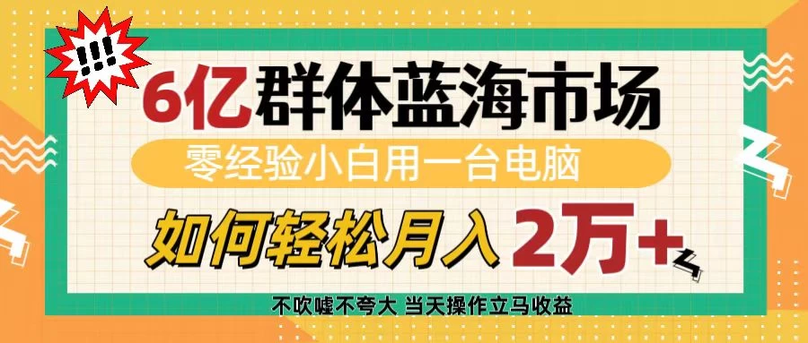 6亿群体蓝海市场，零经验小白用一台电脑，如何轻松月入2万+好项目网-专注分享网络创业项目落地实操课程 – 全网首发_高质量创业项目输出好项目网