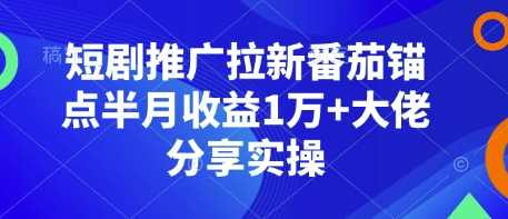 短剧推广拉新番茄锚点半月收益1万+大佬分享实操好项目网-专注分享网络创业项目落地实操课程 – 全网首发_高质量创业项目输出好项目网