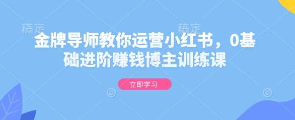 金牌导师教你运营小红书，0基础进阶赚钱博主训练课好项目网-专注分享网络创业项目落地实操课程 – 全网首发_高质量创业项目输出好项目网