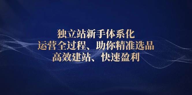 （13914期）独立站新手体系化 运营全过程，助你精准选品、高效建站、快速盈利好项目网-专注分享网络创业项目落地实操课程 – 全网首发_高质量创业项目输出好项目网