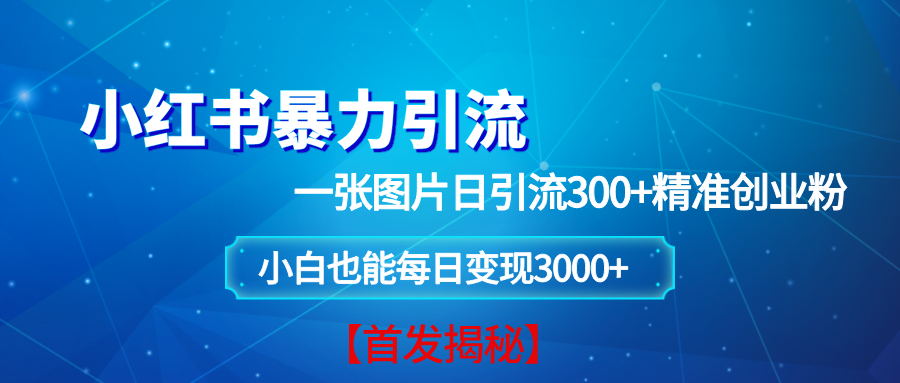 （13935期）小红书暴力引流法，一张图片日引 300+精准创业粉，每日稳定变现 3000+【揭秘】好项目网-专注分享网络创业项目落地实操课程 – 全网首发_高质量创业项目输出好项目网