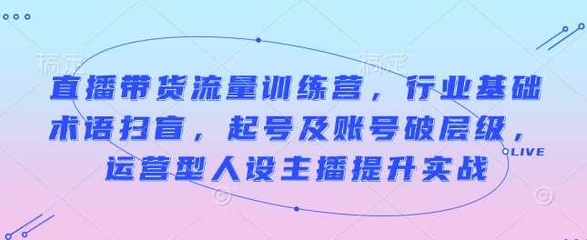 直播带货流量训练营，行业基础术语扫盲，起号及账号破层级，运营型人设主播提升实战好项目网-专注分享网络创业项目落地实操课程 – 全网首发_高质量创业项目输出好项目网